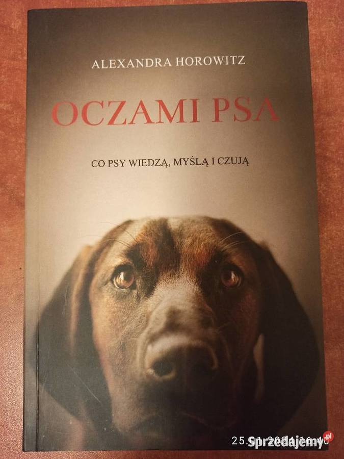 Książka pt Oczami Psa Autor Alexandra Horowitz Koszalin