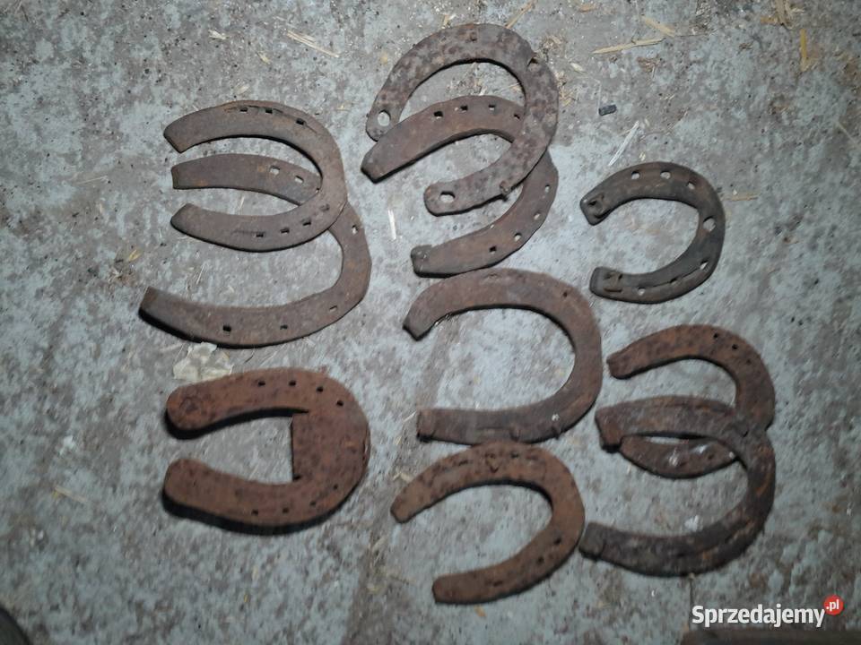 Podkowa podkowy na szczęście Pozostałe Czajków