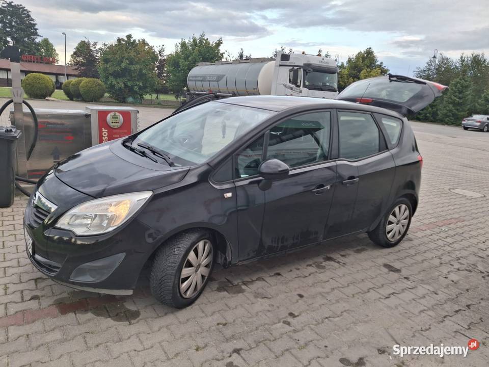 Sprzedam Merve wielkopolskie Blizanów