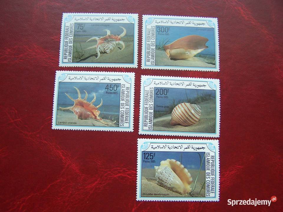 Komory 1985 MNH Mi 746750 Fauna Ślimaki Muszle Tychy