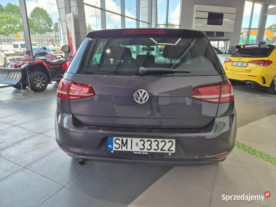 Volkswagen Golf Volkswagen Golf 16 TDI