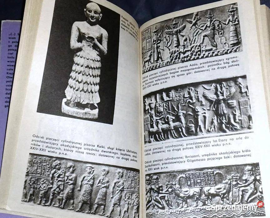 Tajemnice glinianych tabliczek Antoni