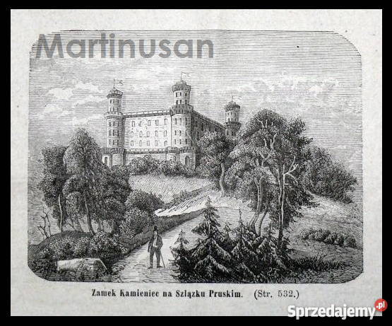 KAMIENIEC ZĄBKOWICKI ZAMEK drzeworyt 1882