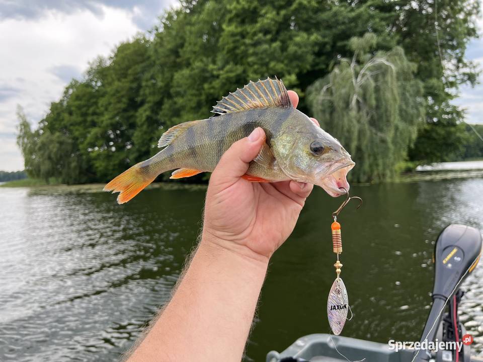 łudka wędkarska z przyczepą Świecie sprzedam