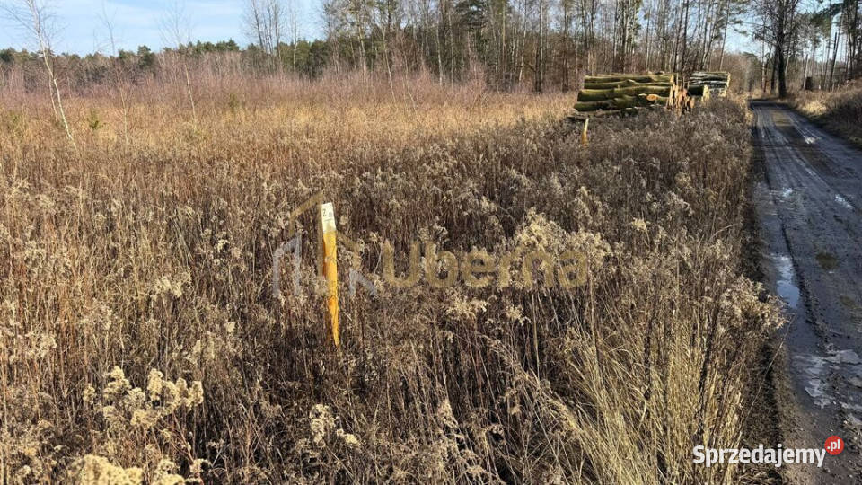 Działka 1552 m2 Żółwia Błoć 4491 m2 sprzedam
