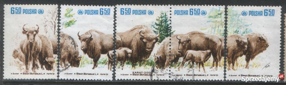 Zn Fi 2608 12 kas 1981 Filatelistyka śląskie