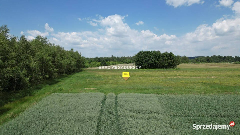 Działka Przeginia Narodowa 3263m2 50m