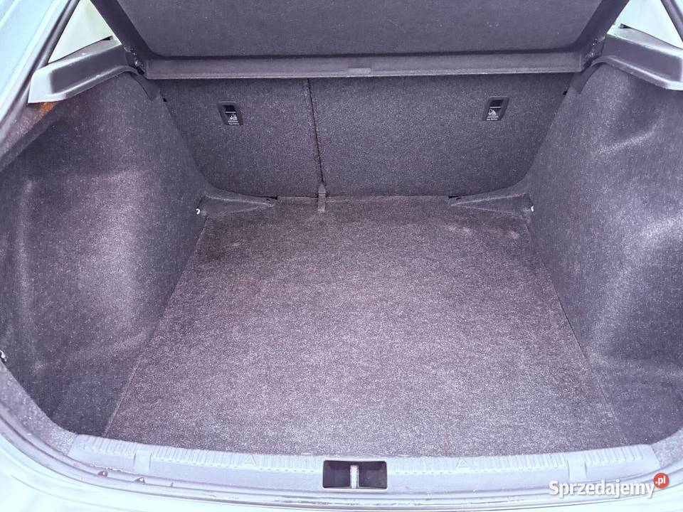 Skoda Rapid 2019 manualna Elbląg