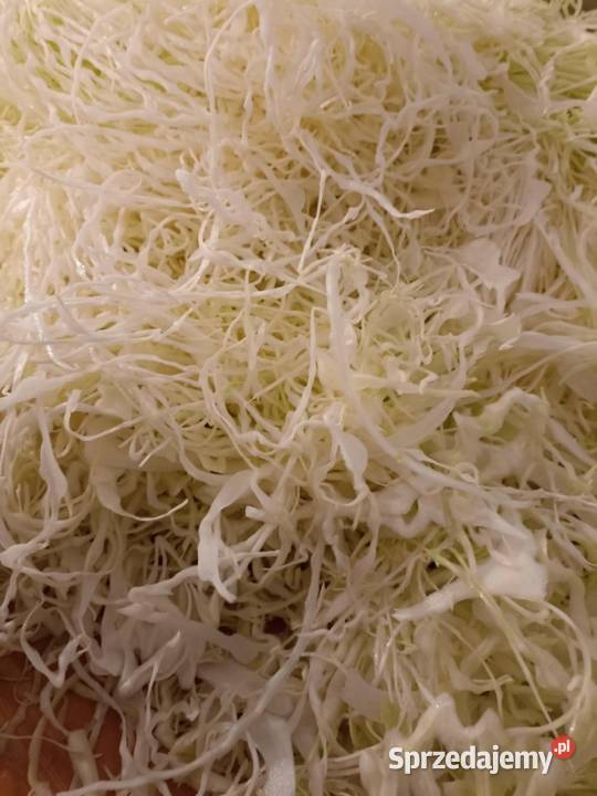 Kapusta szatkowanakiszona naturalnie Kolonia Łaznów