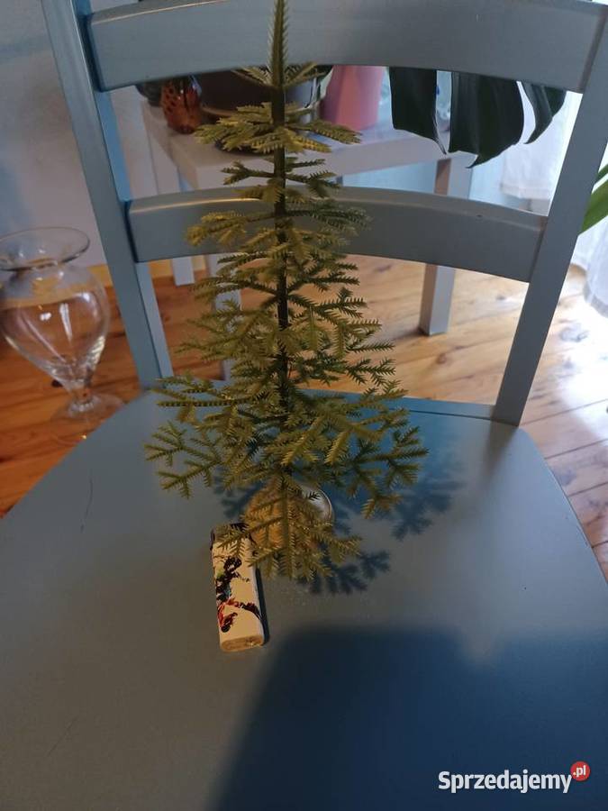 Choinka PRL miniaturka 28 łódzkie Łódź