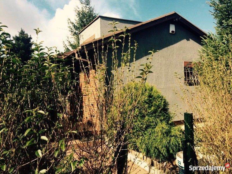 Dzialka ROD poznań strzeszyn Domek Poznań