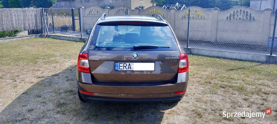 Skoda Octavia 16 TDI 115 2019 Mega Auto brązowy Radomsko sprzedam