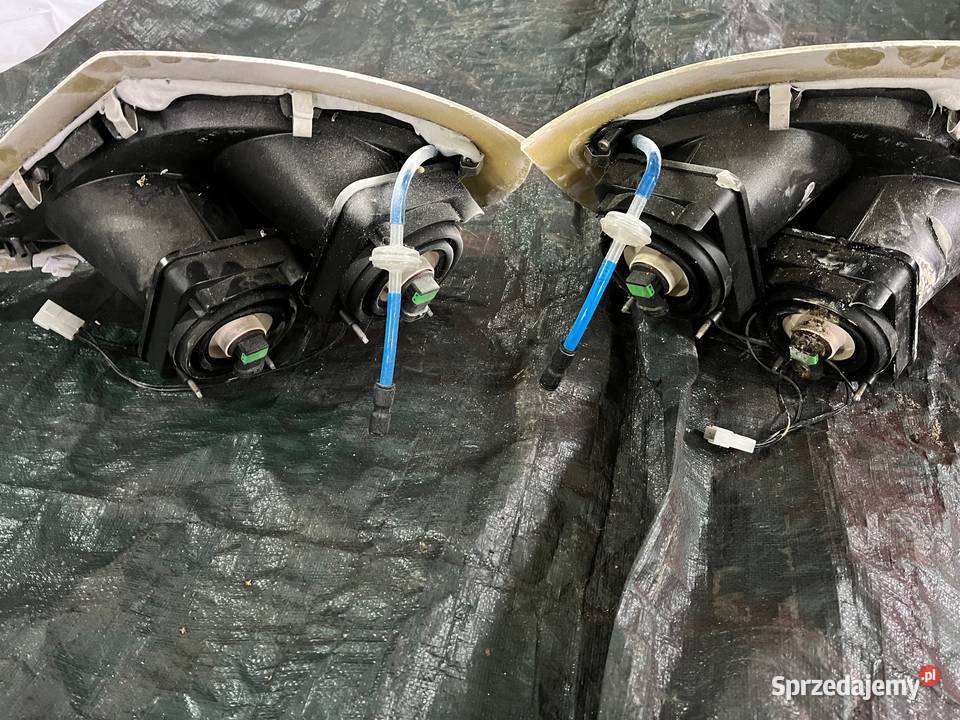 Lampy halogeny dachowe DAF Częstochowa