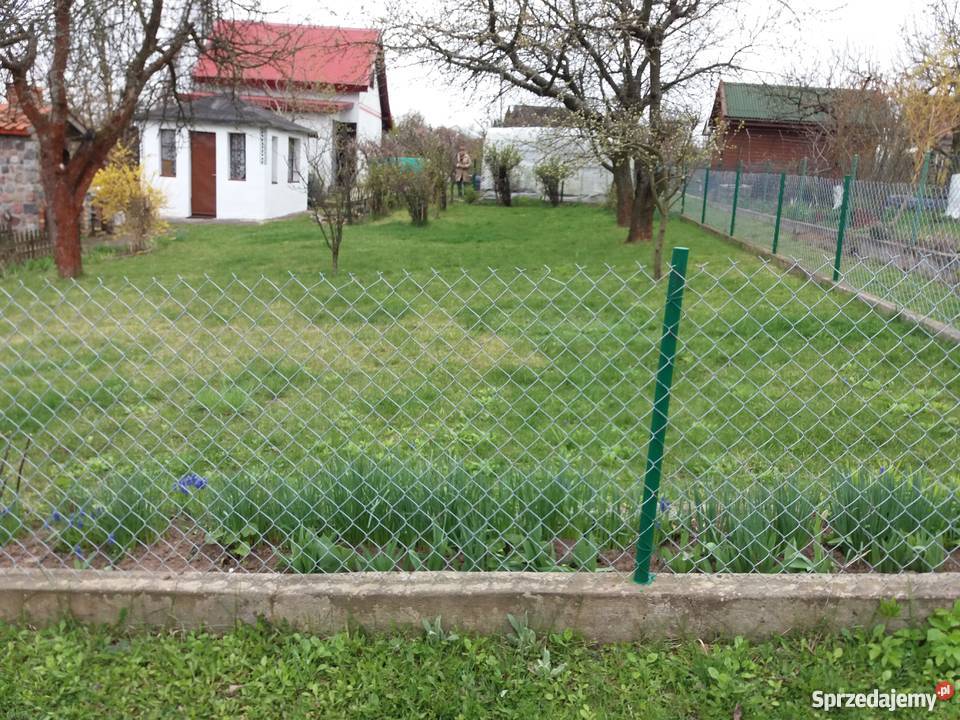 Działka ogrodowa rekreacyjna ROD Ełk ogródek 380m2