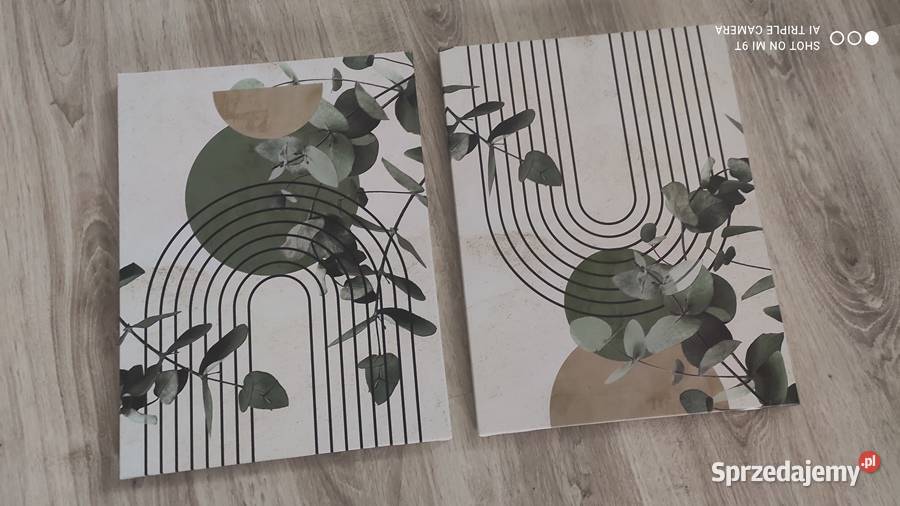 Obrazy Canvas na płótnie nowoczesne 2częściowy lubelskie Czemierniki sprzedam