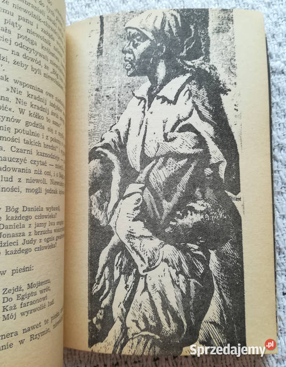 Wolni na zawsze Dorothy Sterling historia, archeologia Książki naukowe i popularnonaukowe Białystok