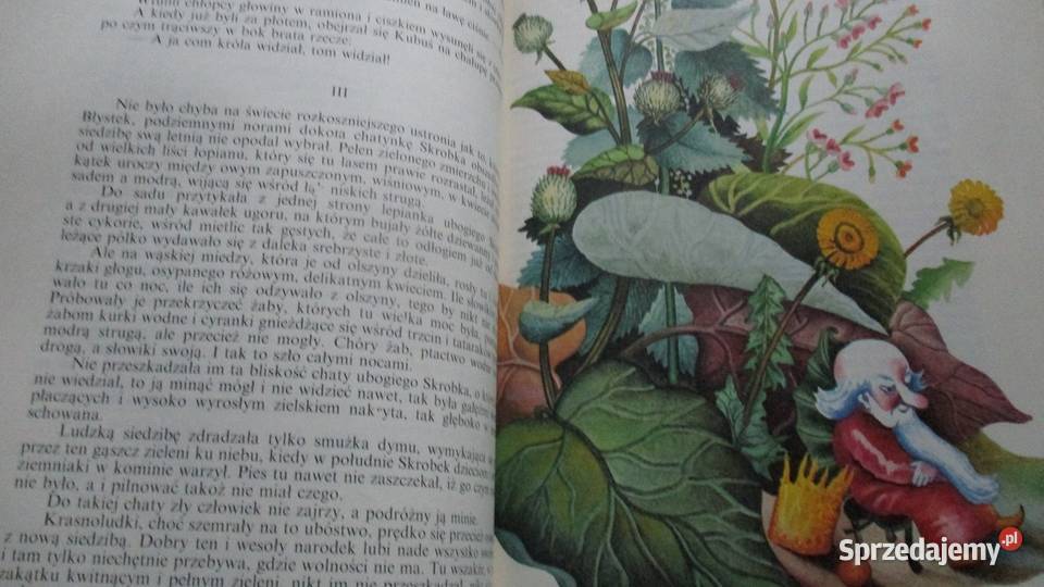 O krasnoludkach i o sierotce Marysi MKonopnicka Łódź