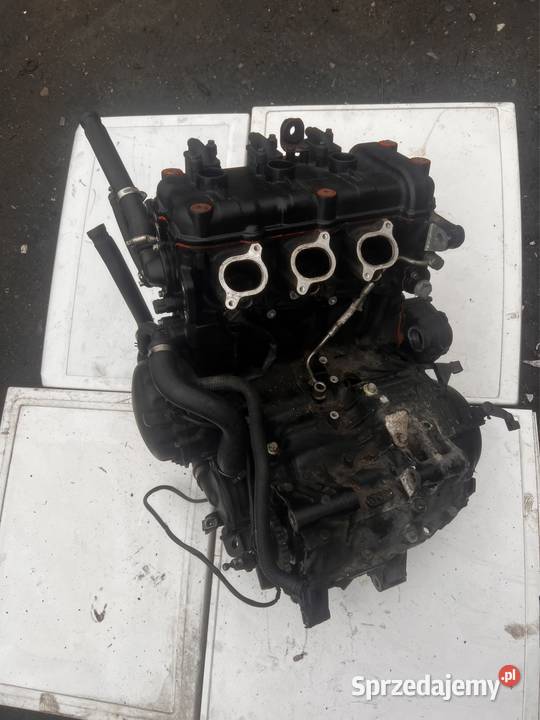 Silnik Triumph Sprint RS 955 Ostrów Wielkopolski