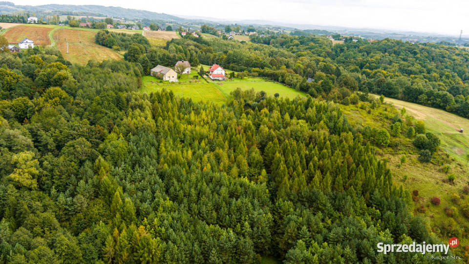 Na sprzedaż działka w Zalasowej Sprzedaż Zalasowa