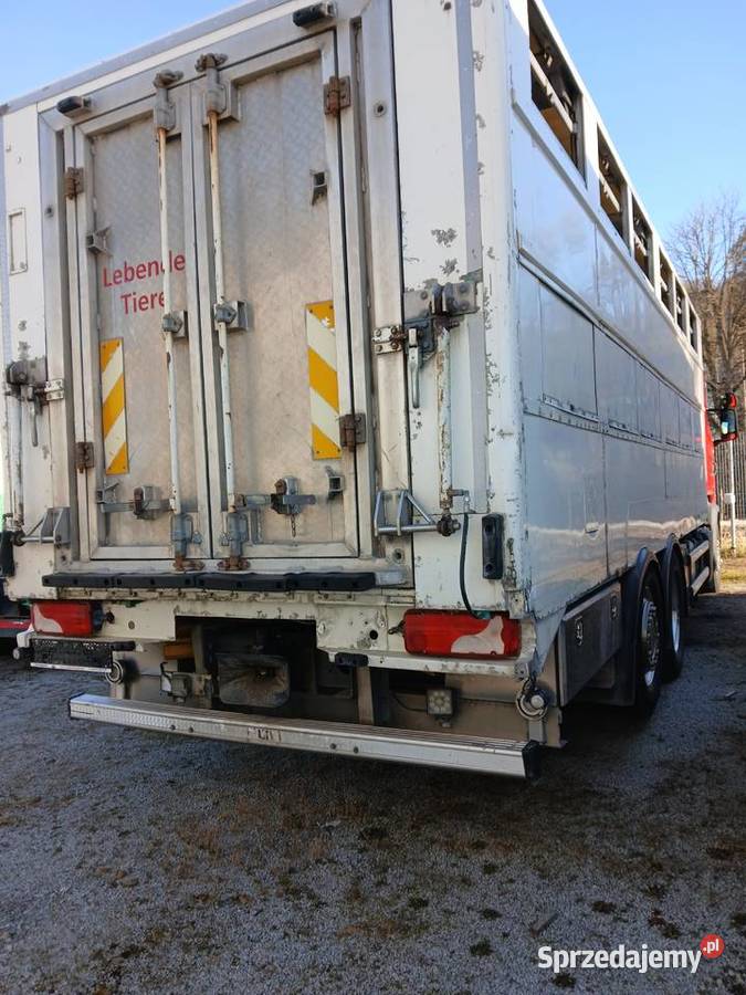 Do przewozu zwierzat Scania