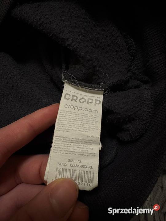 Bluza Cropp Odzież codzienna Katowice