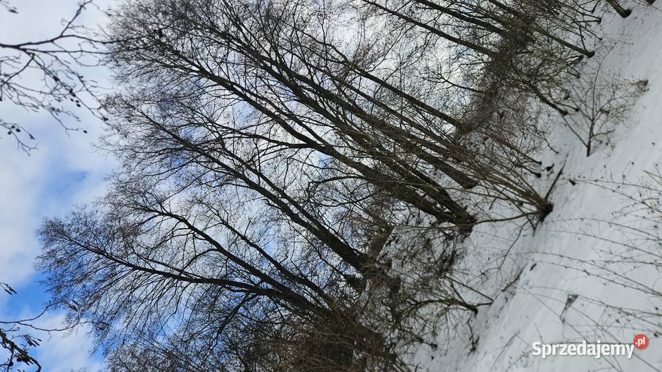 Działka w Jakubowicach Konińskich rolna Jakubowice Konińskie