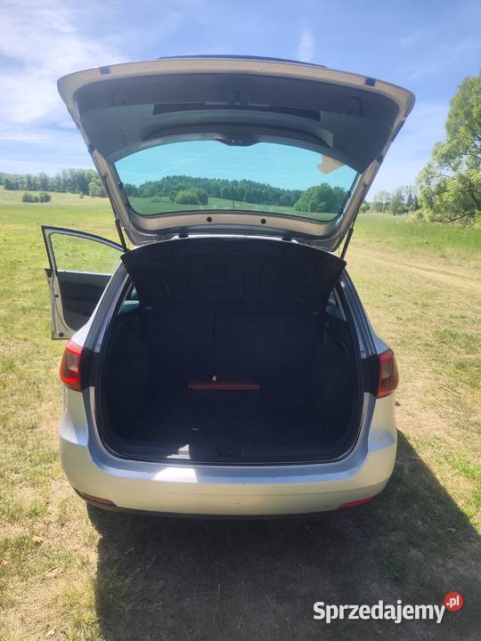 Seat Ibiza 16 TDI 105 2010 r Niski przebieg Łobez
