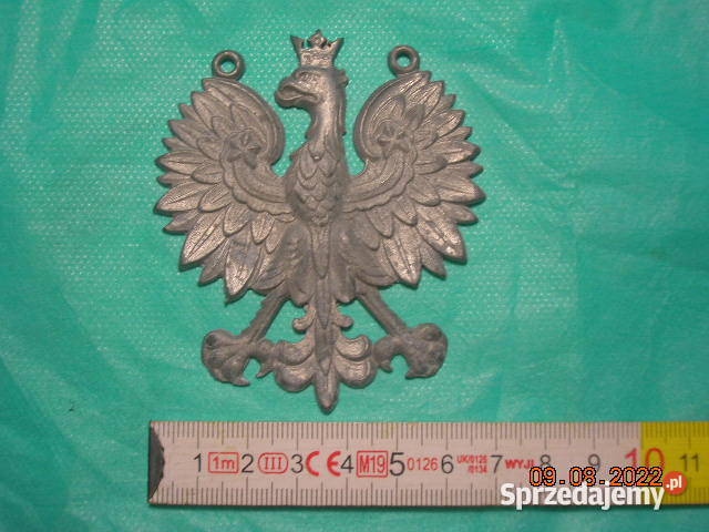 Orzełek sądowniczy Łódź sprzedam