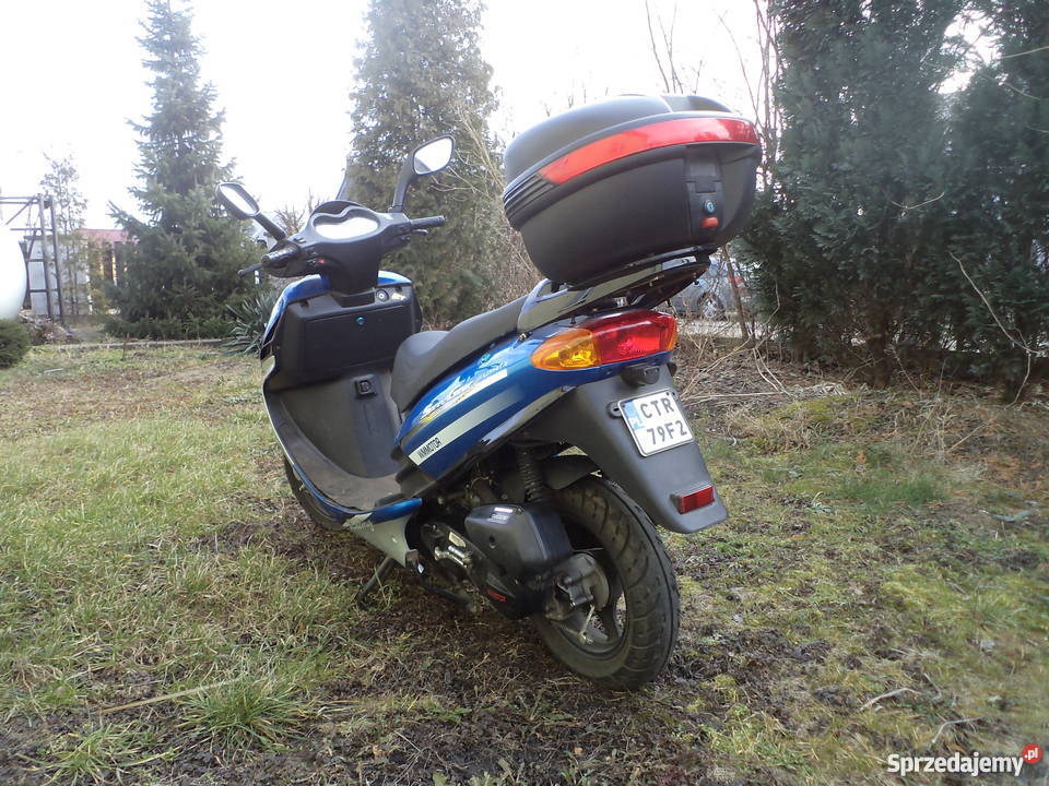 Skuter LONGJIA LJ50QT4 Sharpy 50 kujawsko-pomorskie Toruń