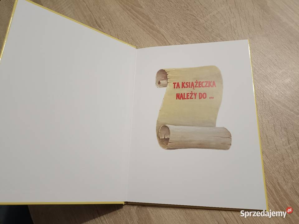 Karolek Kominiarczyk i jego kot Morusek Rok wydania 2006 Książki dla dzieci Kwidzyn