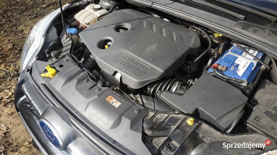 Ford Focus MK3 16 TDCI 115 Wrocław sprzedam