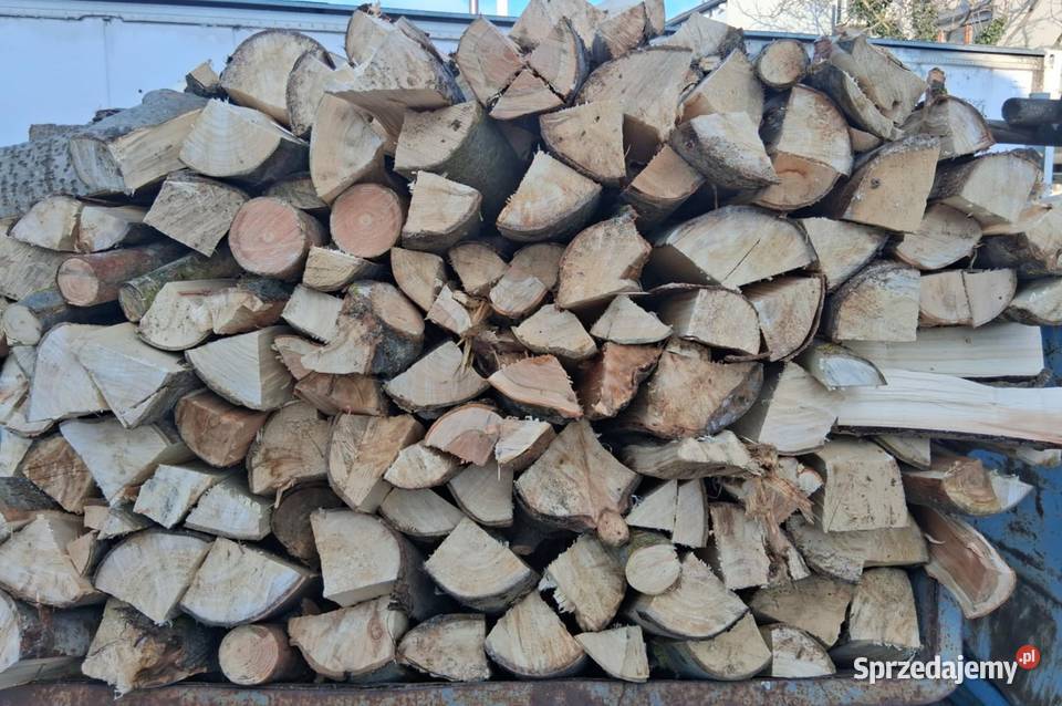 Drewno opałowe w 300 m3 Opał Brzeźno sprzedam
