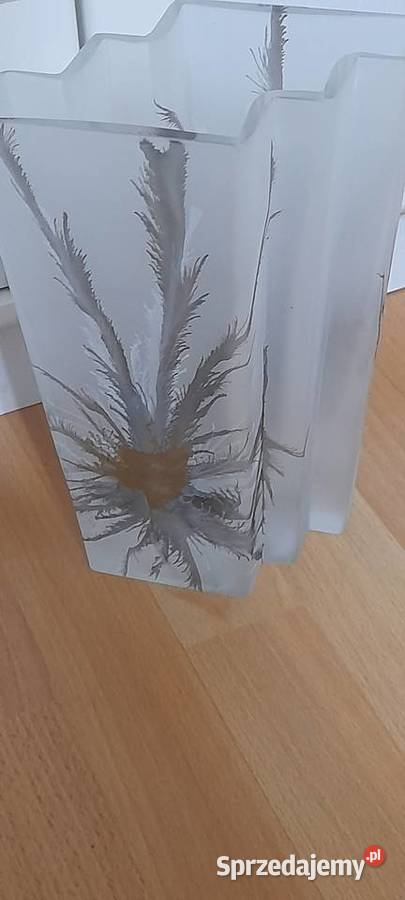 Wazon Jodła Czechy Warszawa