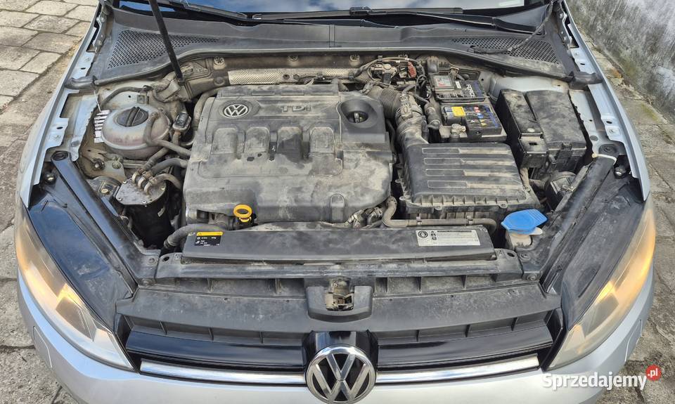Volkswagen Golf VII 16 TDi 110 Golf Warszawa