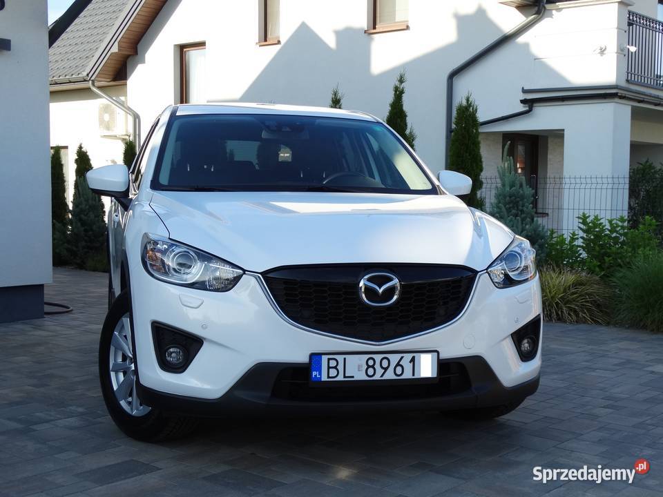 20 165 benzynaSerwis do końca Navi Blis Bi Xenon Łomża