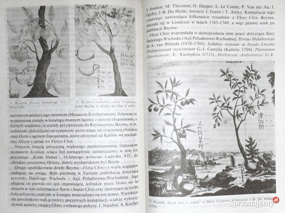 Michał Boym ostatni wysłannik dynastii Ming Książki i Podręczniki lubelskie Chełm