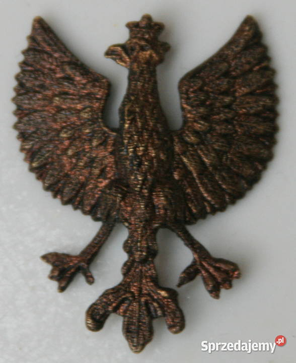 Orzełek Wielkopolski