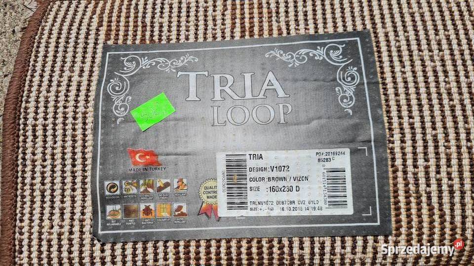 Dywan Tria browni 16 x 23 m długi włos podlaskie Zambrów