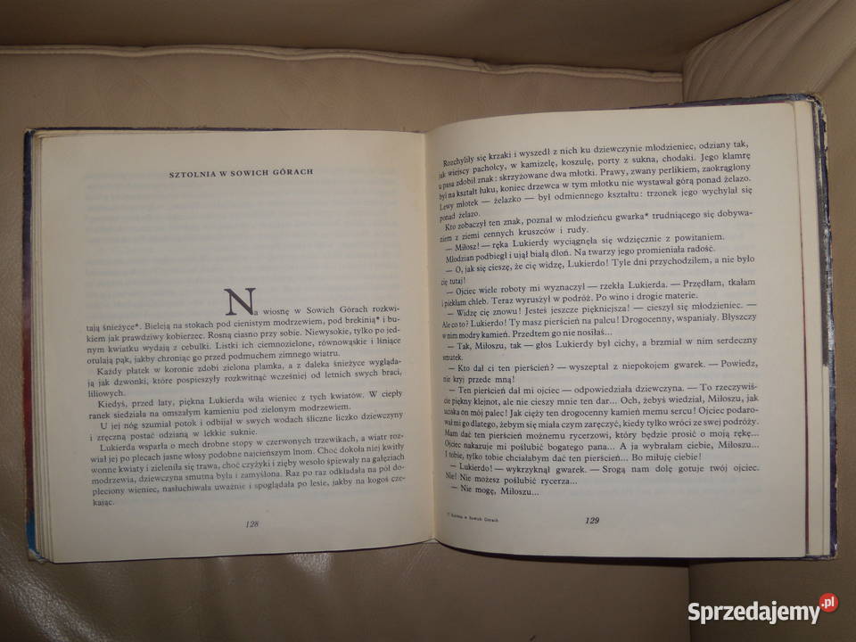 Sztolnia w Sowich Górach Kornelia Dobkiewiczowa Warszawa sprzedam