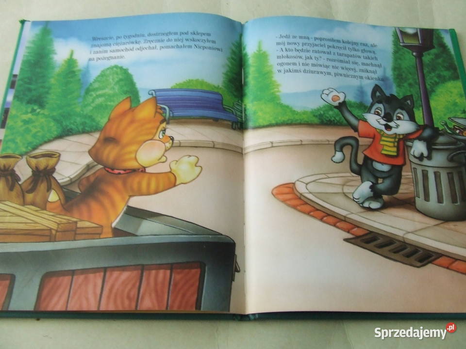 Urodziny Puchatka Księga dżungli Disney Iskierka dolnośląskie Oborniki Śląskie