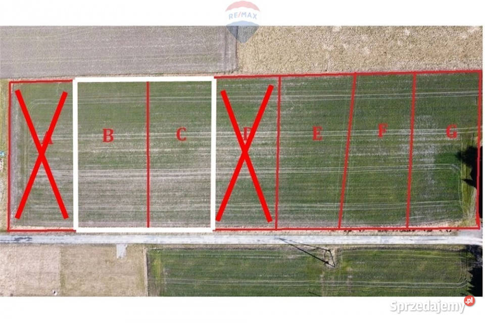 Działka budowlana w Zaborzu Sprzedaż Zaborze