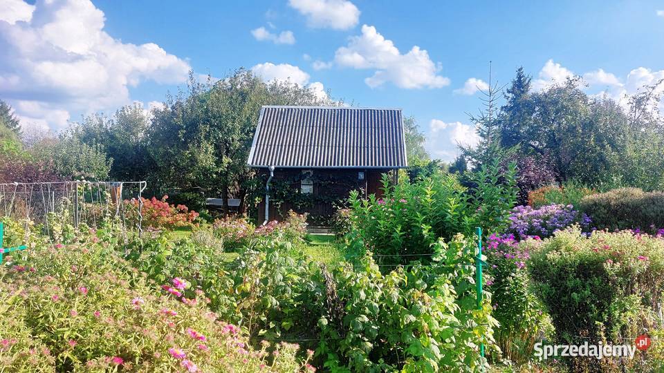 Działka ROD Słonecznik Zalewem Lublin sprzedam