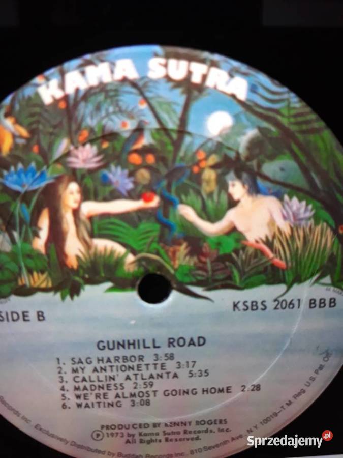 Biały kruk na czarnym winylu GUNHILL ROAD Rzeszów