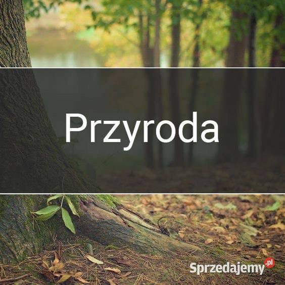 Korepetycje z biologi i przyrody 4i5 klasa Radomsko