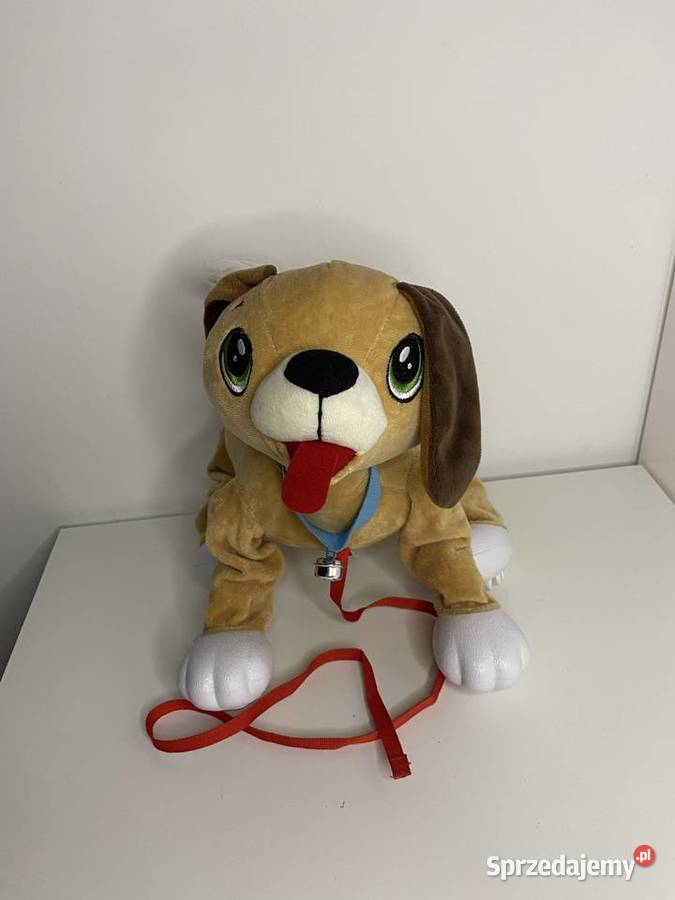 Peppy Pups pluszowy piesek chodzący na smyczy Gdańsk