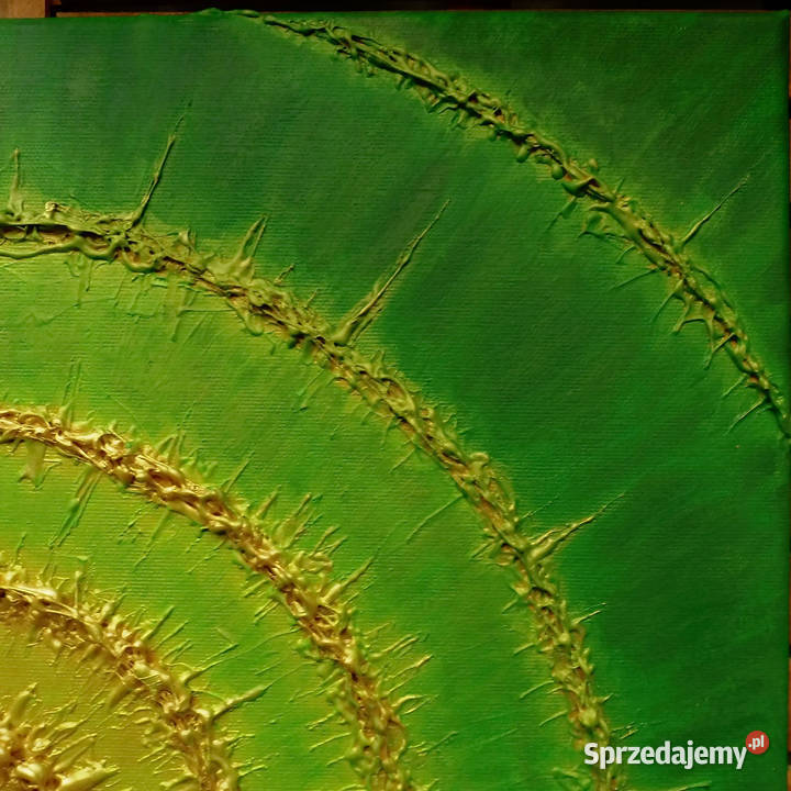 Obraz akryl płótno Złota spirala 5 50x50 Sieradz