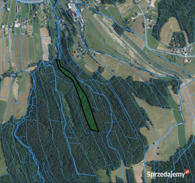 Lipnica Dolna urokliwy młody las Nieruchomości małopolskie