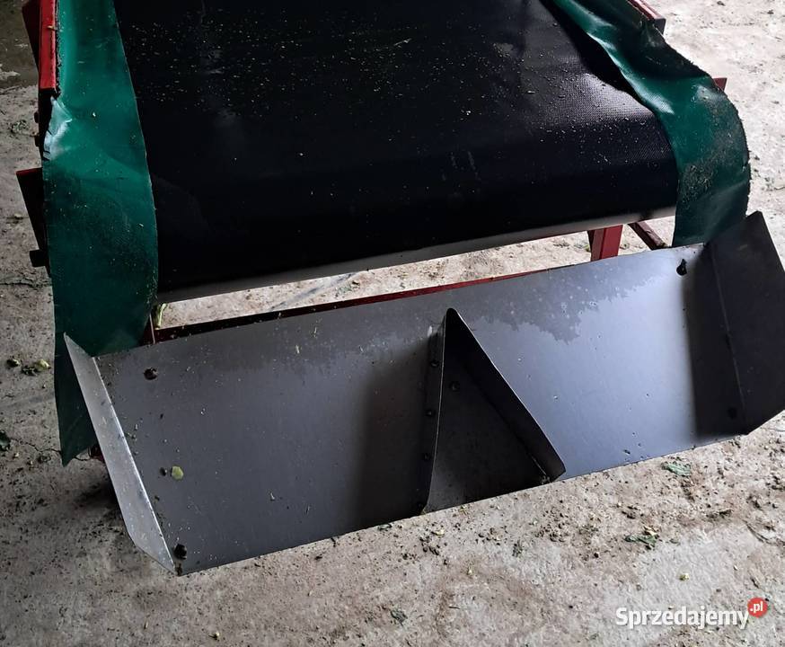 Taśma do różyczkowania brokuła i kalafiora Tarnogród