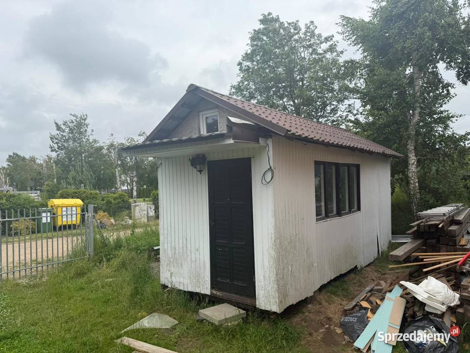 Barak holenderka pomorskie Warszawa sprzedam