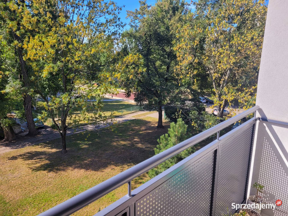 Słoneczna kawalerka 33 m z loggią centrum 469 3 piętra i więcej Sprzedaż Wrocław